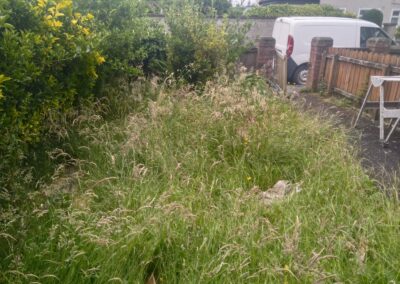 cj garden services facebook gallery 17