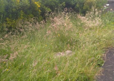 cj garden services facebook gallery 19