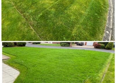 cj garden services facebook gallery 2