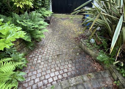 cj garden services facebook gallery 20