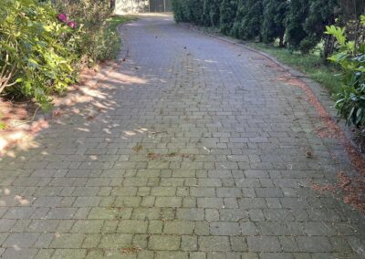 cj garden services facebook gallery 27