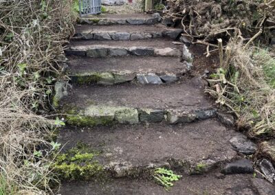 cj garden services facebook gallery 28