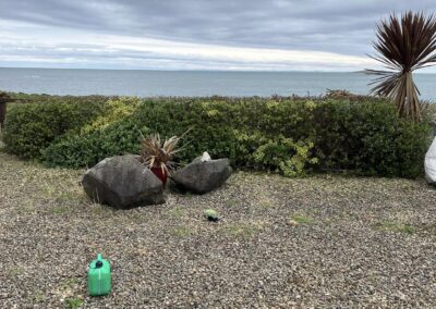 cj garden services facebook gallery 29