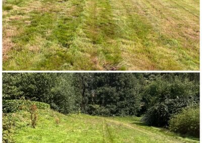 cj garden services facebook gallery 4